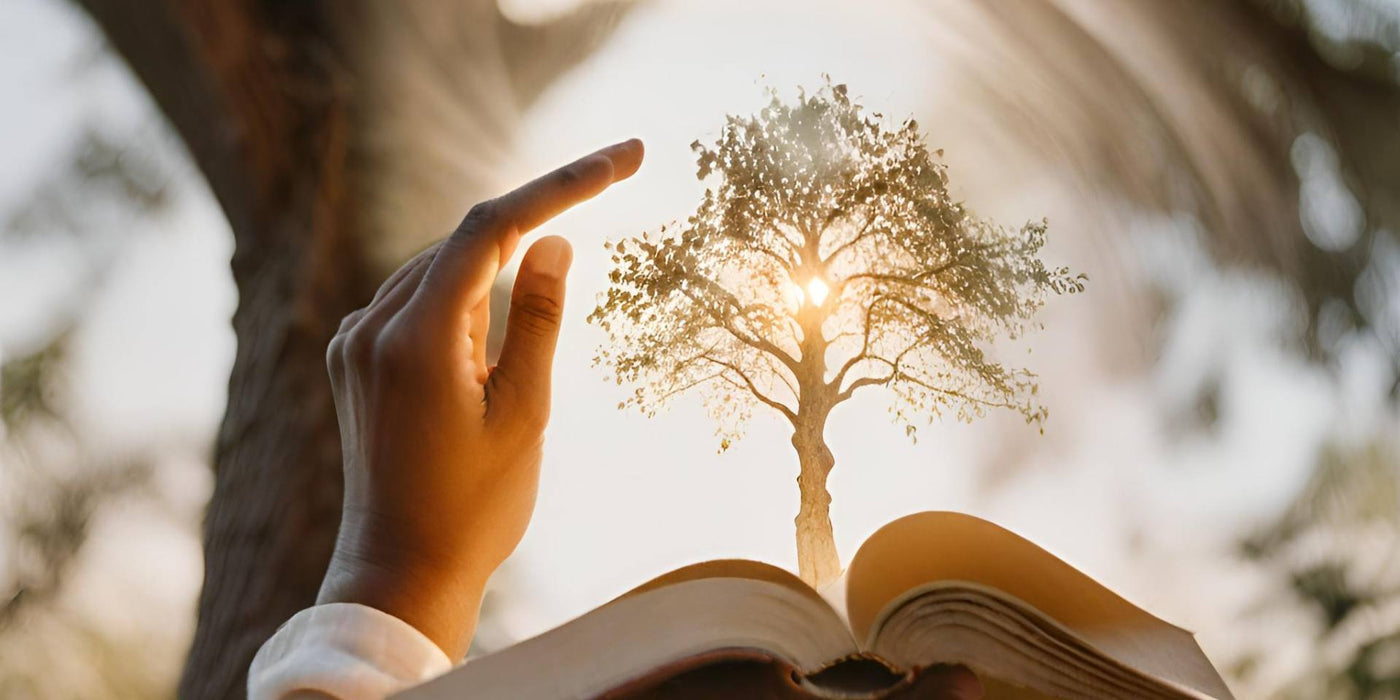 We Will Create Life Coaching EBook-Gawdo.com