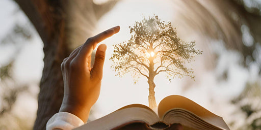 We Will Create Life Coaching EBook-Gawdo.com